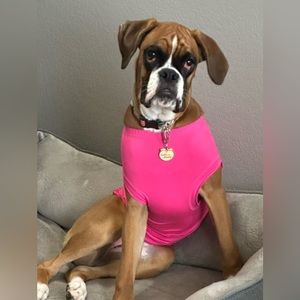 Surgi Snuggly Size Large Pink